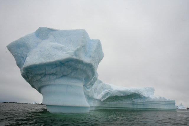 CREDITO DAS FOTOGRAFIAS: LEONARDO PAPINIleopapini@gmail.com (11) 99625-0027 vivo (11) 7862-8583 nextel