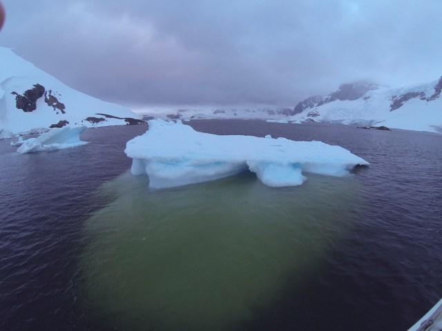 CREDITO DAS FOTOGRAFIAS: LEONARDO PAPINIleopapini@gmail.com (11) 99625-0027 vivo (11) 7862-8583 nextel