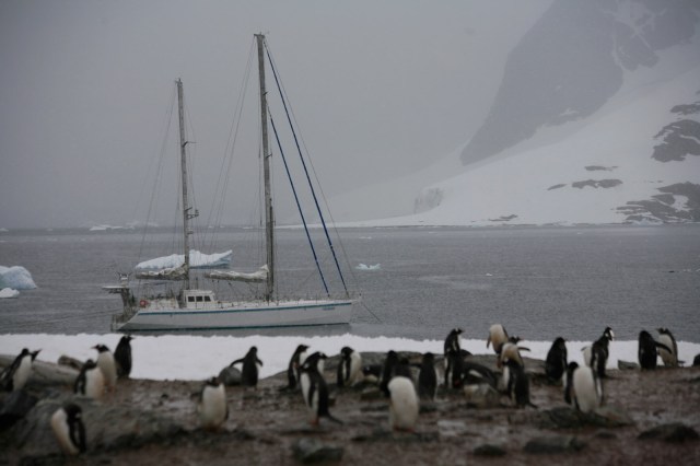 CREDITO DAS FOTOGRAFIAS: LEONARDO PAPINIleopapini@gmail.com (11) 99625-0027 vivo (11) 7862-8583 nextel